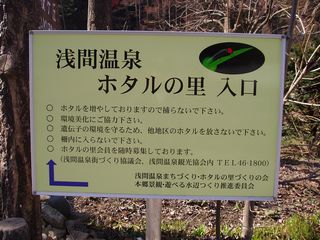 画像の説明 画像の説明